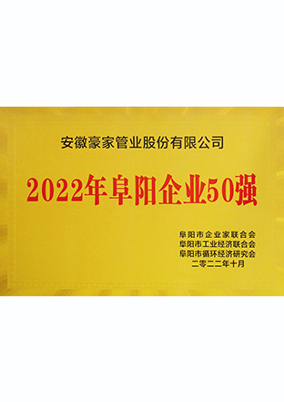 2022年阜陽企業50強